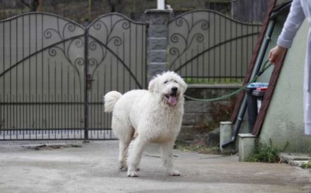 Verliebst du dich in Rob?