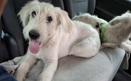 Verliebst du dich in Rob?