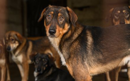 Möchtest du mit Rocket in die Zukunft starten?