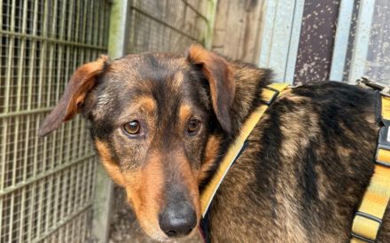 Möchtest du mit Rocket in die Zukunft starten?