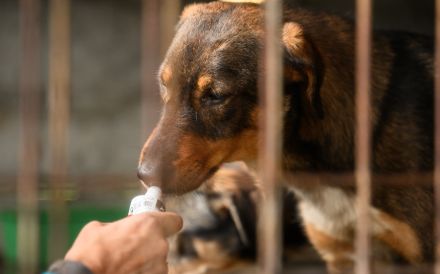 Möchtest du mit Rocket in die Zukunft starten?