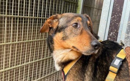 Möchtest du mit Rocket in die Zukunft starten?