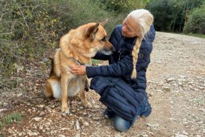 Bruna - Pflegeplatz gesucht