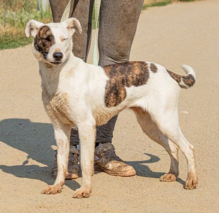 Lianda, junges süßes Mädel sucht Familienanschluß