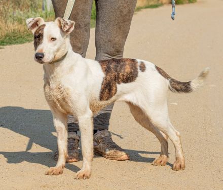 Lianda, junges süßes Mädel sucht Familienanschluß