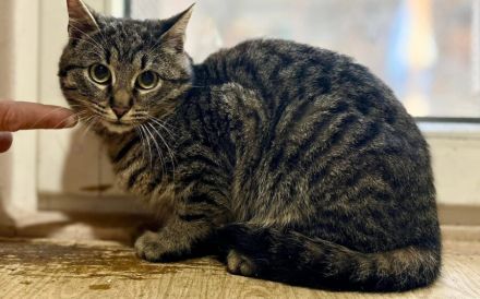 Sebastian: Die Liebe, die er sucht, ist die, die sich Zeit nimmt