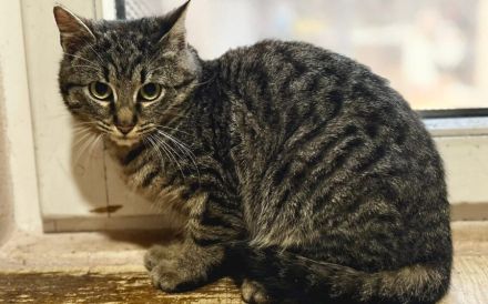 Sebastian: Die Liebe, die er sucht, ist die, die sich Zeit nimmt