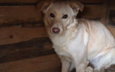 Für Menschen mit Herz und Geduld: Tofu wartet auf ihr Wunder