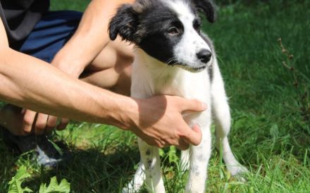 Zuckersüße Iany sucht ihr Zuhause