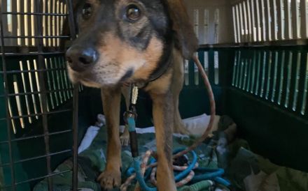 Daphne will endlich vertrauen