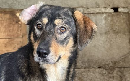 Daphne will endlich vertrauen