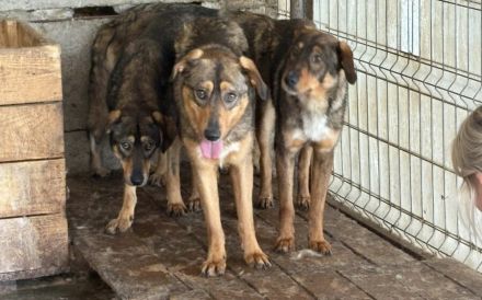 Zeig Cuan, wie schön die Welt sein kann - er wartet auf dich