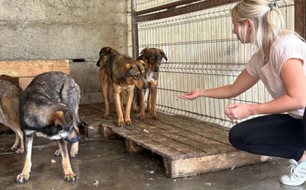 Zeig Cuan, wie schön die Welt sein kann - er wartet auf dich