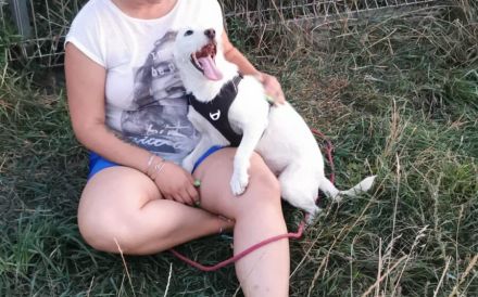 Wer hat ein freies Körbchen für Joacky?