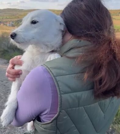 Wer hat ein freies Körbchen für Joacky?