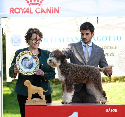 Lagotto Romagnolo x Expò o Compagnia