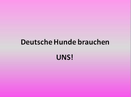 Pflegestellen & Helfer dringend gesucht!