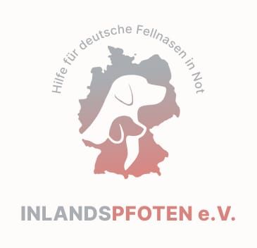 Pflegestellen & Helfer dringend gesucht!