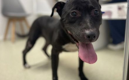 Stormy sucht eine Chance auf ein besseres Leben