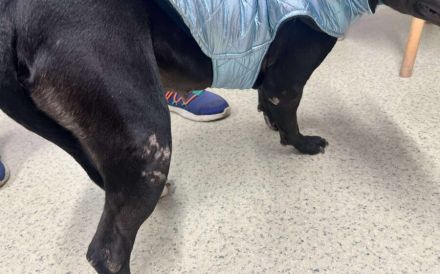 Stormy sucht eine Chance auf ein besseres Leben