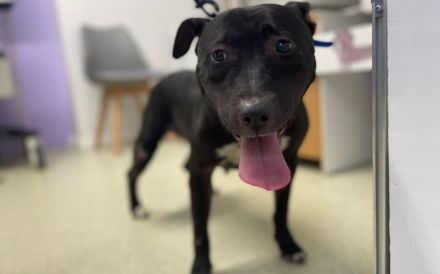 Stormy sucht eine Chance auf ein besseres Leben