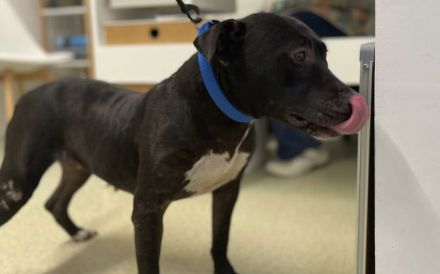 Stormy sucht eine Chance auf ein besseres Leben