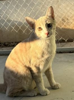 Tracy, Ryan und Cash