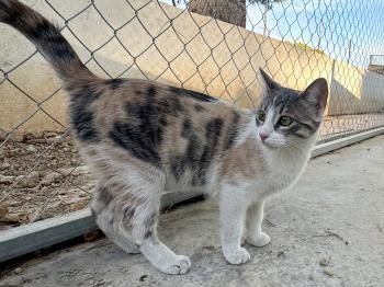 Tracy, Ryan und Cash