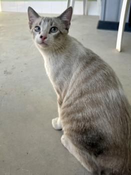 Tracy, Ryan und Cash