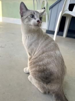 Tracy, Ryan und Cash