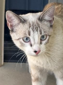 Tracy, Ryan und Cash