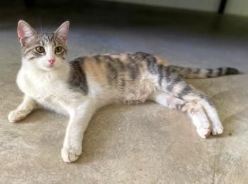 Tracy, Ryan und Cash