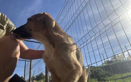 Clifford wartet auf sein Ticket ins Glück