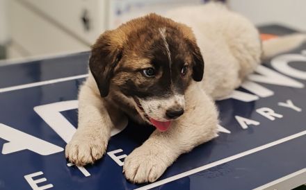 Kleiner Wonneproppen Süntje