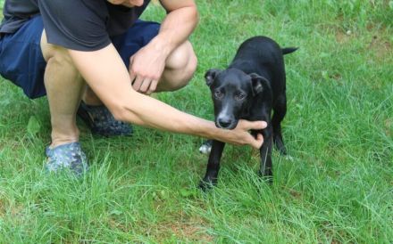 Darf Ruby dein Herz erobern?