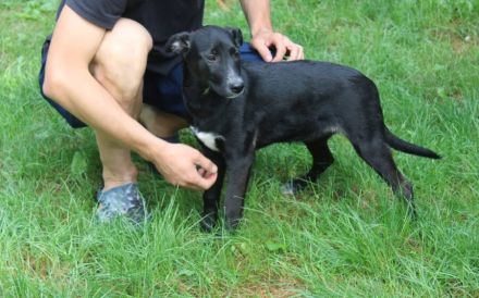 Darf Ruby dein Herz erobern?