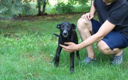 Darf Ruby dein Herz erobern?