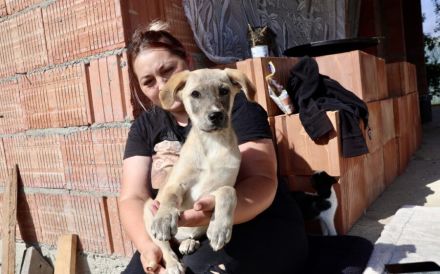 Marseille - unser Hundemädchen fürs Herz