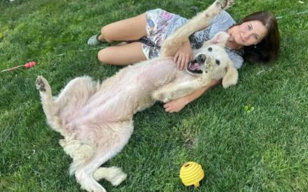 Verschmuste Hündin Meryl