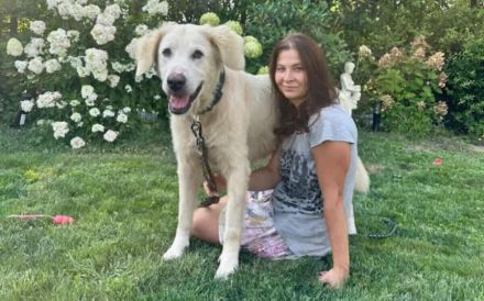 Verschmuste Hündin Meryl