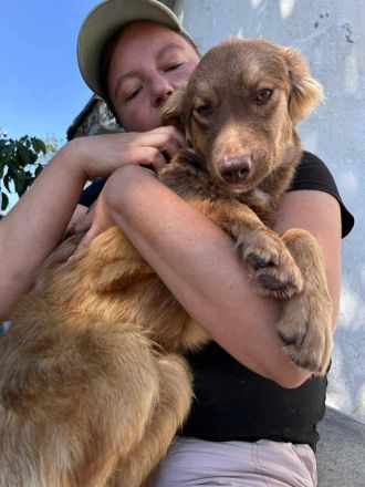 Ramon sucht sein Für-immer-Zuhause