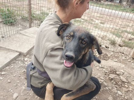 Matteo, jung, aktiv und voller Lebensfreude! 1 Jahr, 52 cm