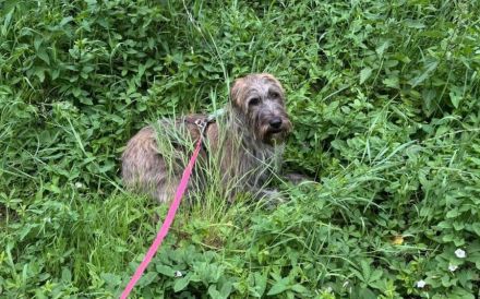 Margrit sucht ein ruhiges Plätzchen