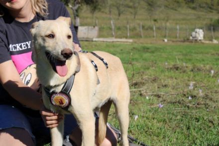 Vorsichtiger Tjark sucht sicheren Hafen
