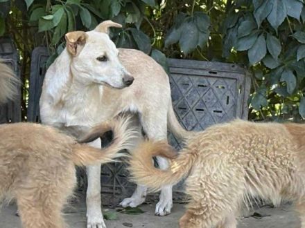 Vorsichtiger Tjark sucht sicheren Hafen