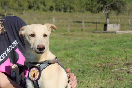 Vorsichtiger Tjark sucht sicheren Hafen