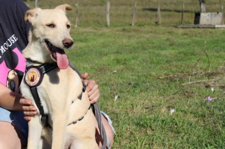 Vorsichtiger Tjark sucht sicheren Hafen