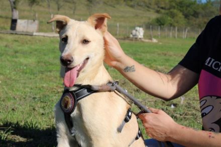 Vorsichtiger Tjark sucht sicheren Hafen