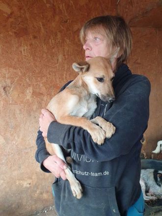 Luna, verschmuste und zutrauliche Junghündin auf der Suche nach einem schönen Leben, 5 Monate, 30 cm