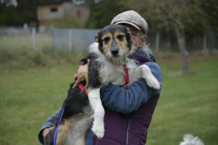 Frieda, ein Flumi auf vier Pfoten